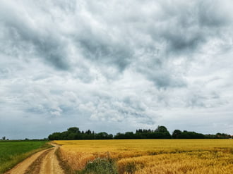 Mihályi