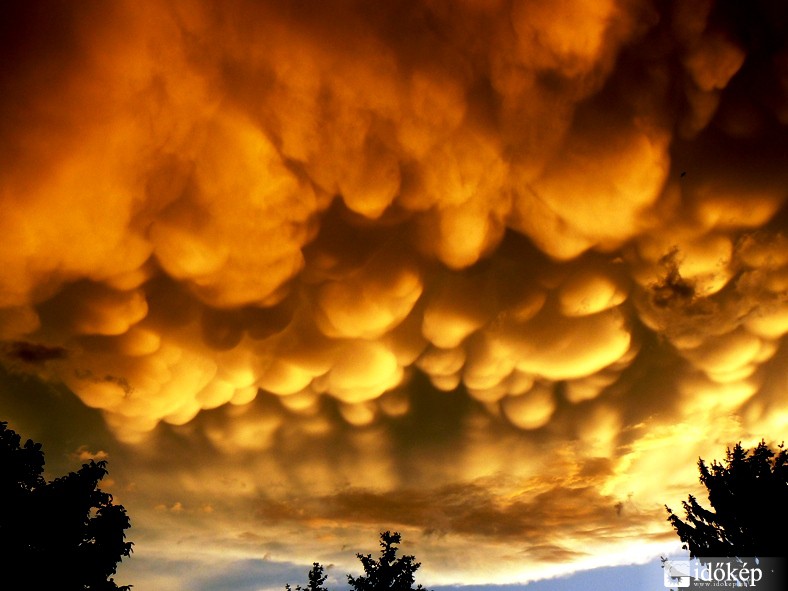 Mammák a naplemente fényében