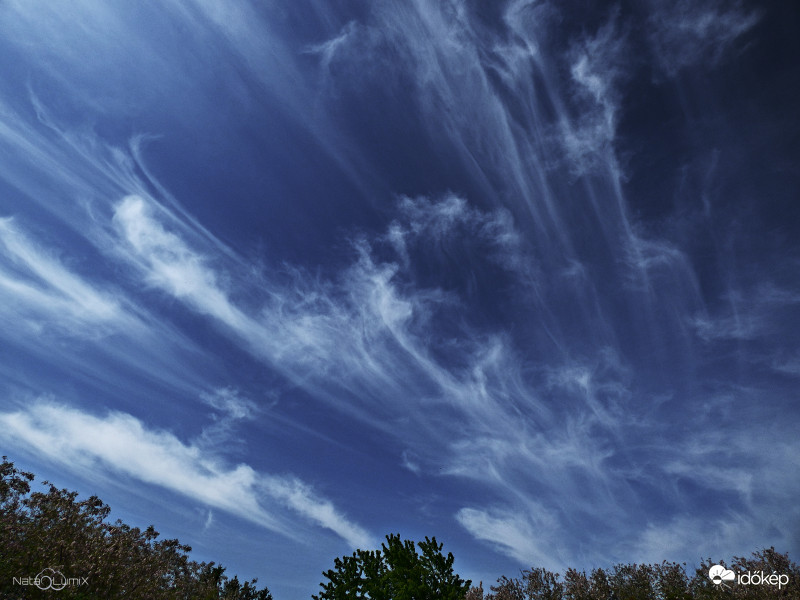 Cirrus uncinus