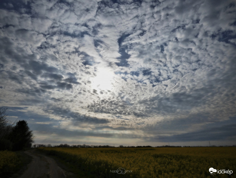 Bárányfelhős