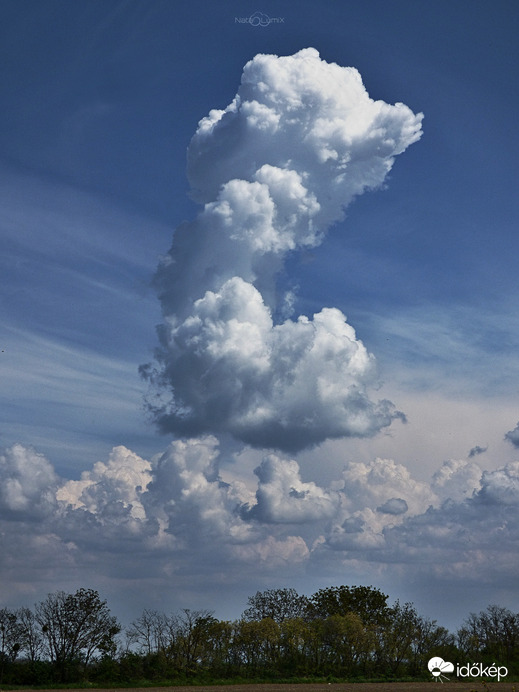 Cumulus congestus