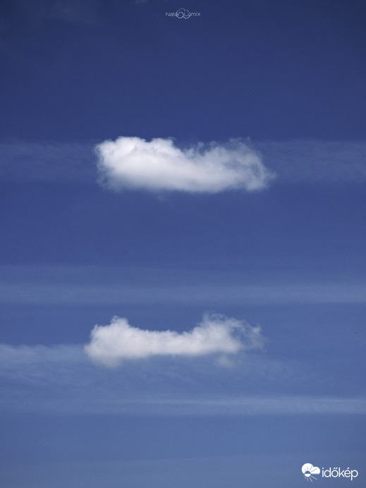 Cumulus humilisek