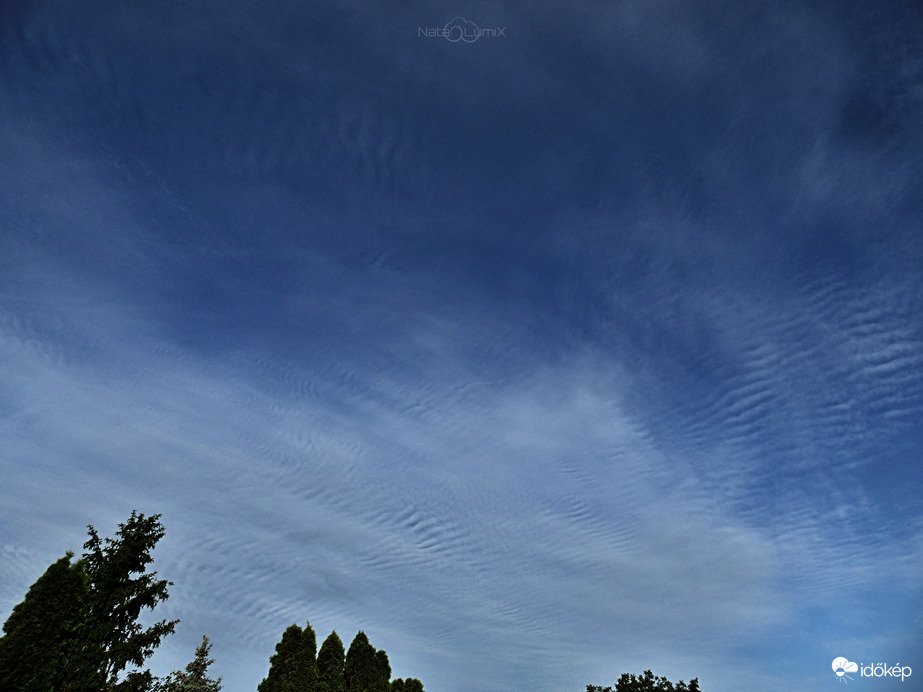 Cirrostratus undulatus