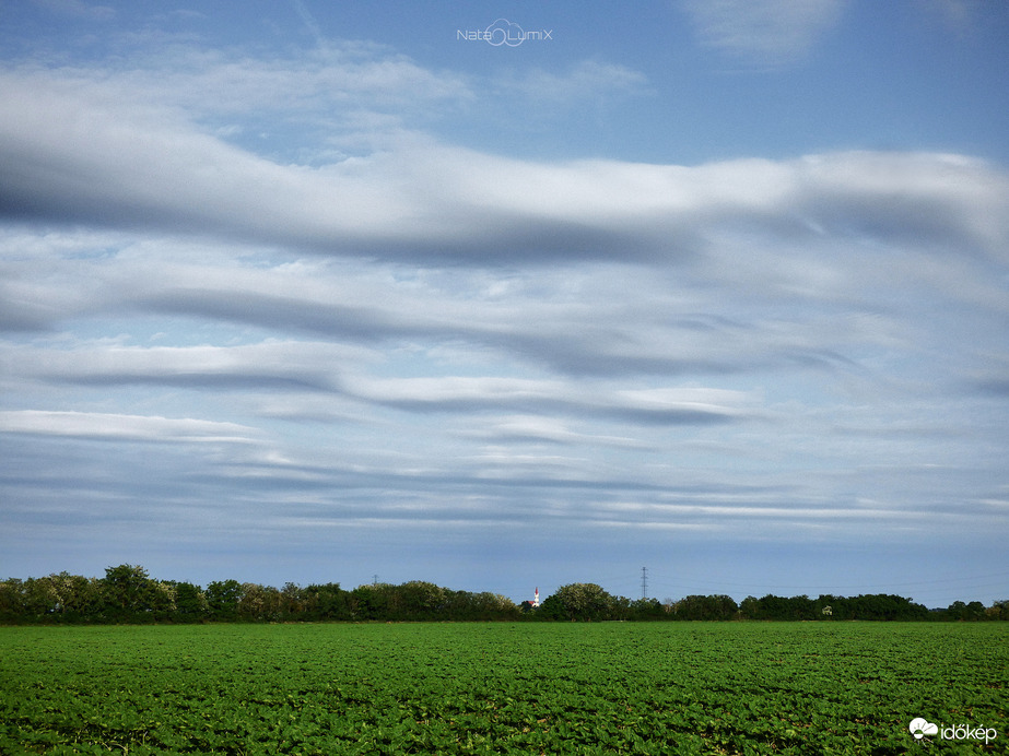 Stratocumulus lenticularis