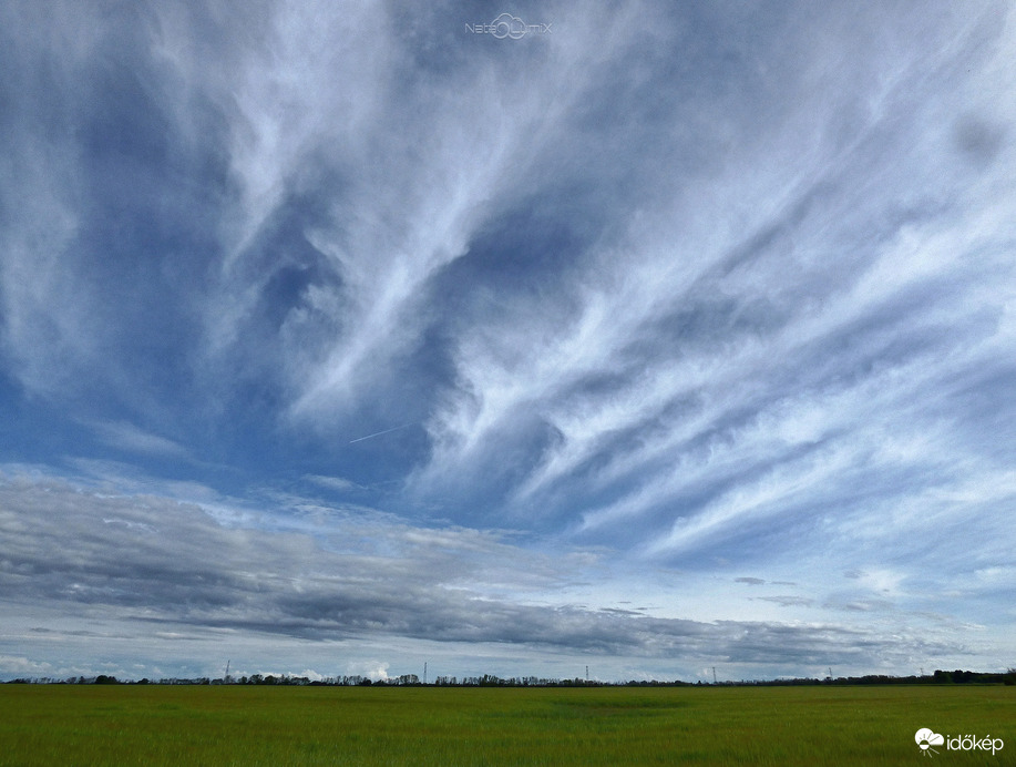 Cirrus radiatus