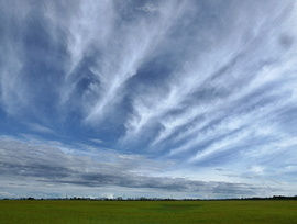 Cirrus radiatus