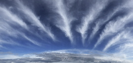 Cirrus radiatus