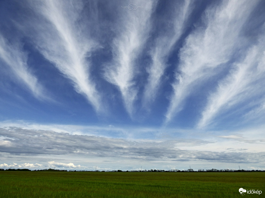 Cirrus radiatus