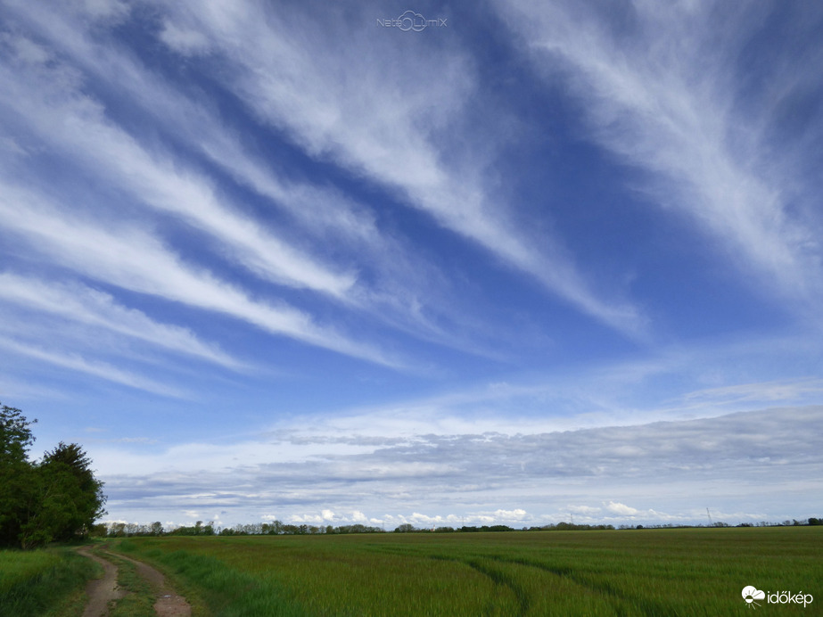 Cirrus radiatus