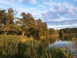 Sárvár 
