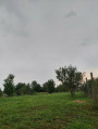 Katymár