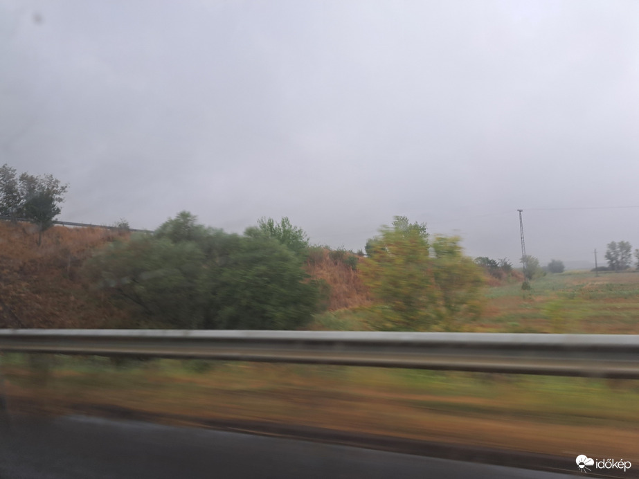 Polgár
