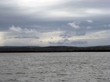 Gárdony