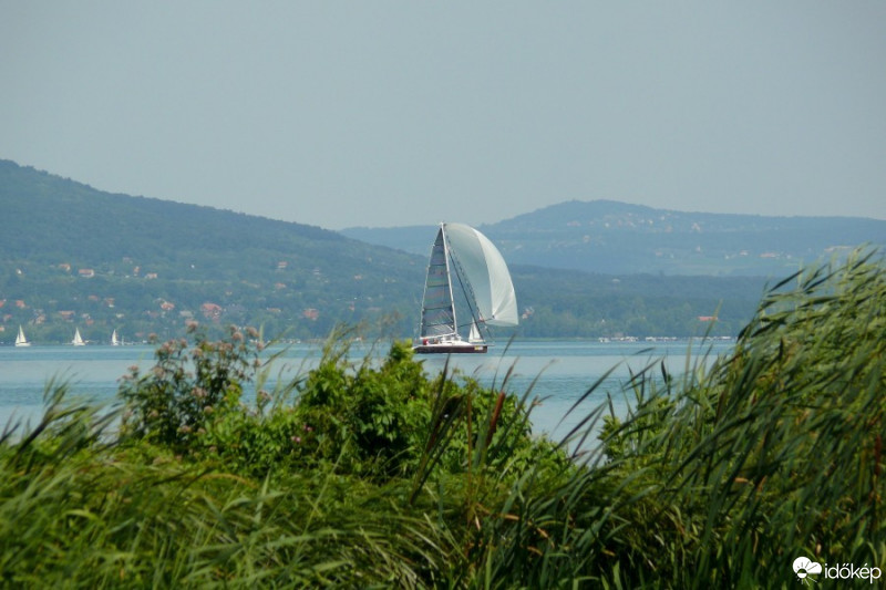Pécs-Somogy