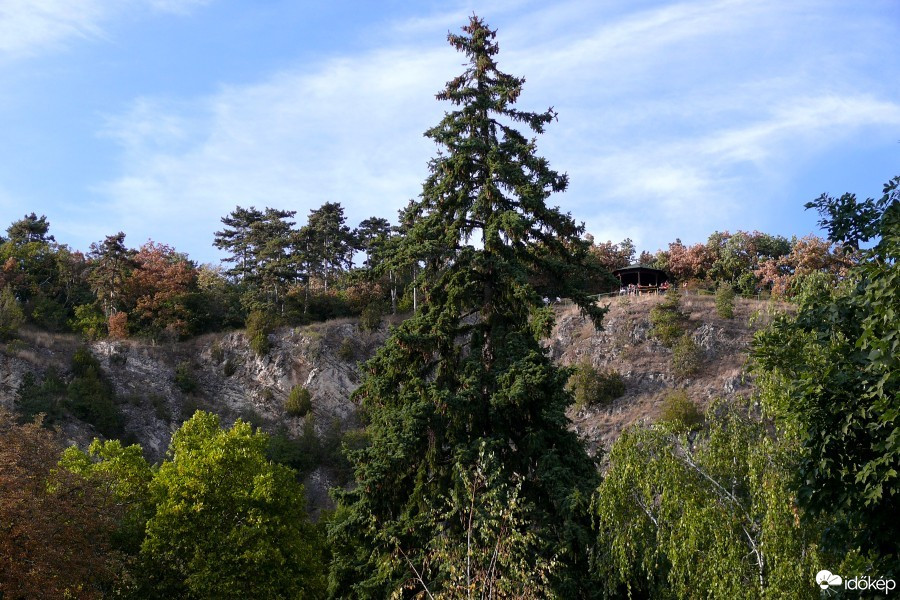 Bogád