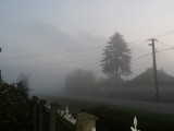 Köd