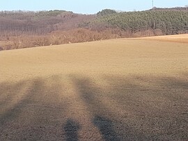 Érsekvadkert