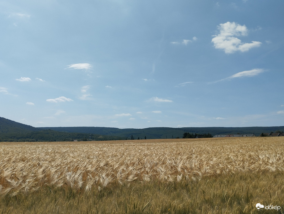 Romhány