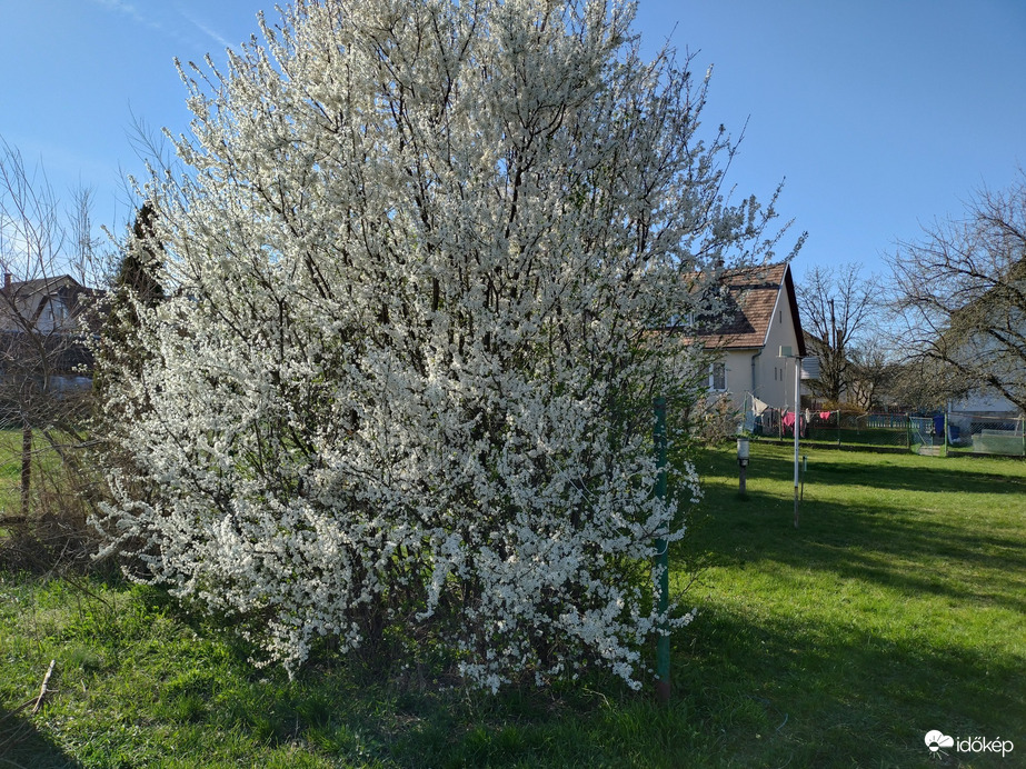 Romhány