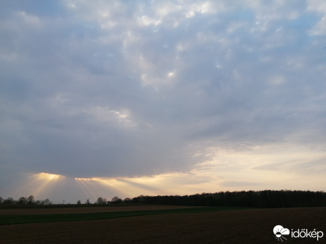 Závod