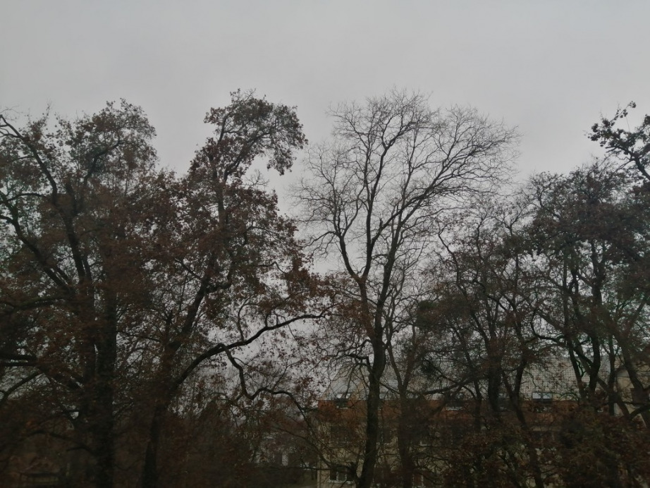 Szekszárd