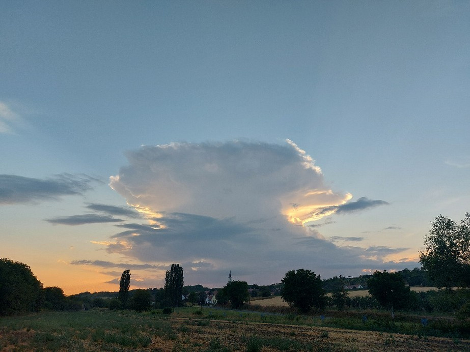 Závod