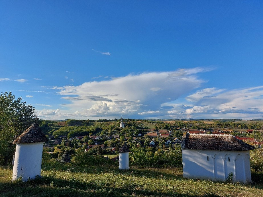Závod