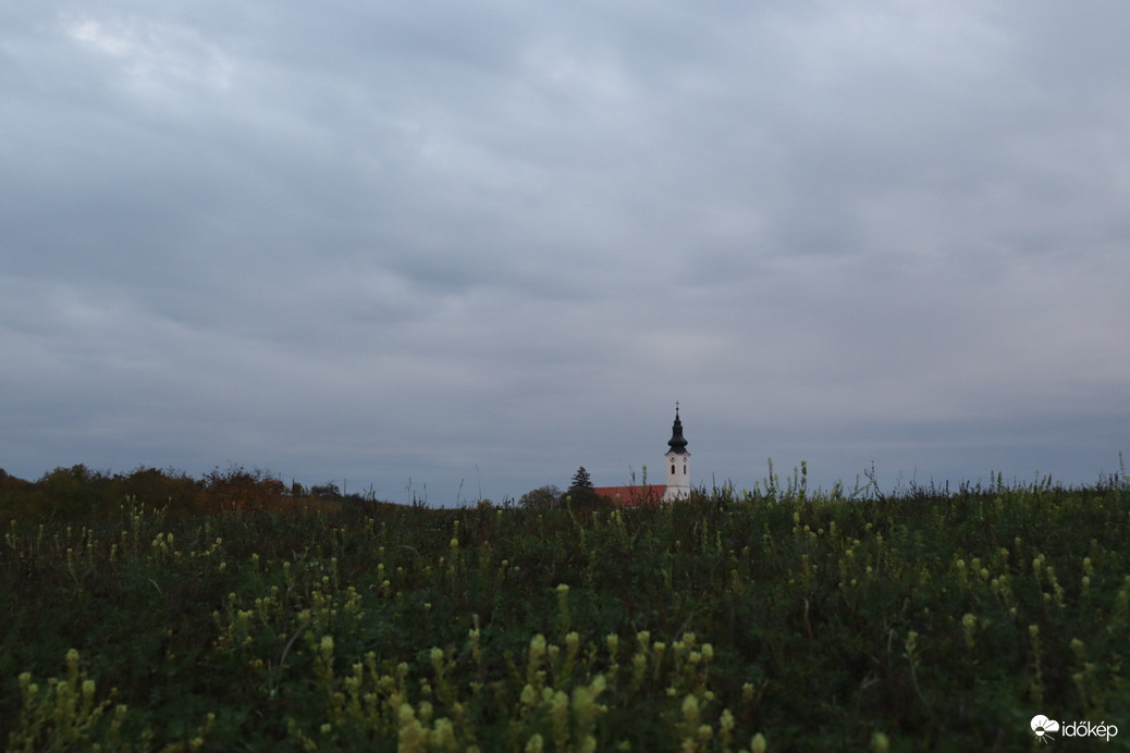 Závod