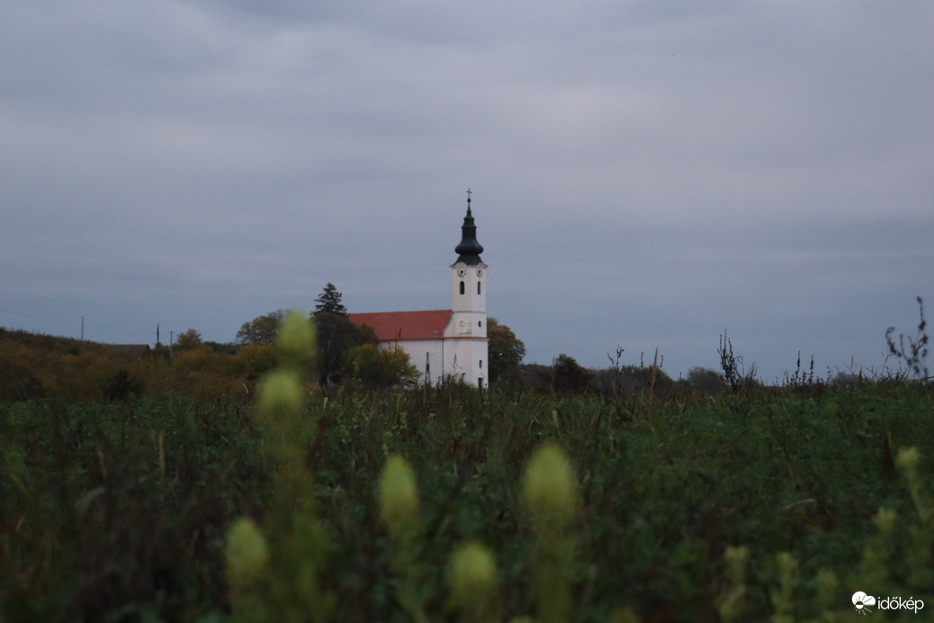 Závod
