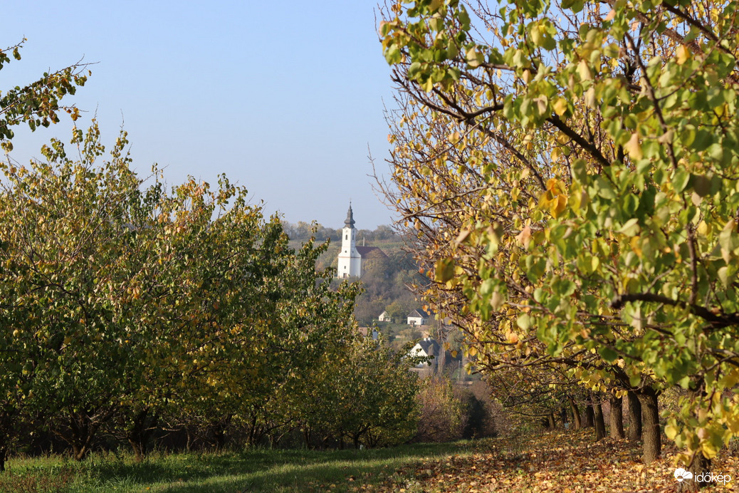 Novemberi színek
