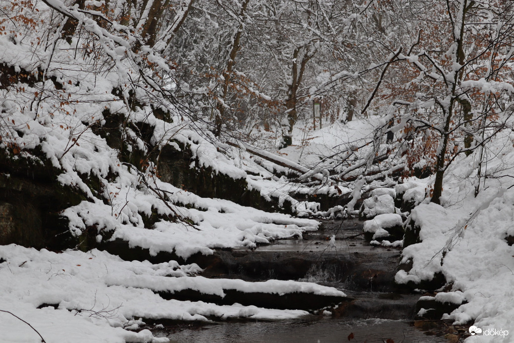 15-20cm hóban túra a Mecsekben