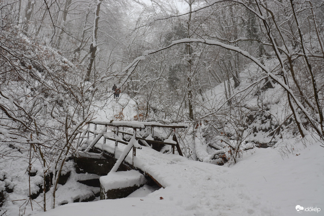 15-20cm hóban túra a Mecsekben