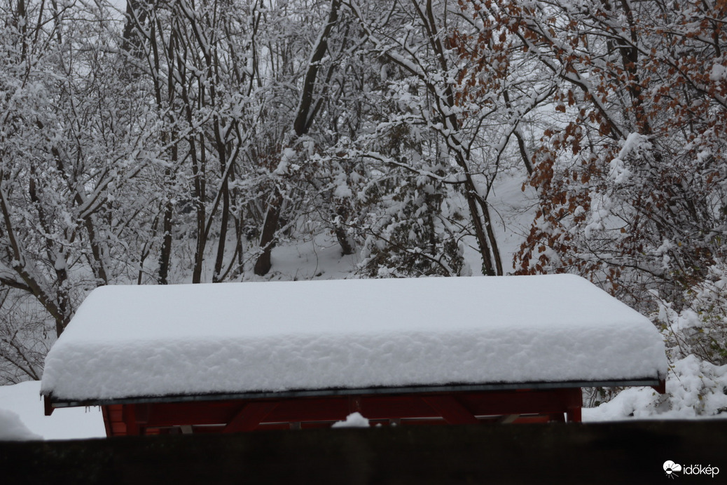 15-20cm hóban túra a Mecsekben