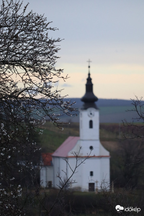 Dombtetőn virágzik a mandulafa.