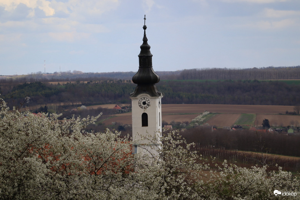 Virágzó cserjék 2.