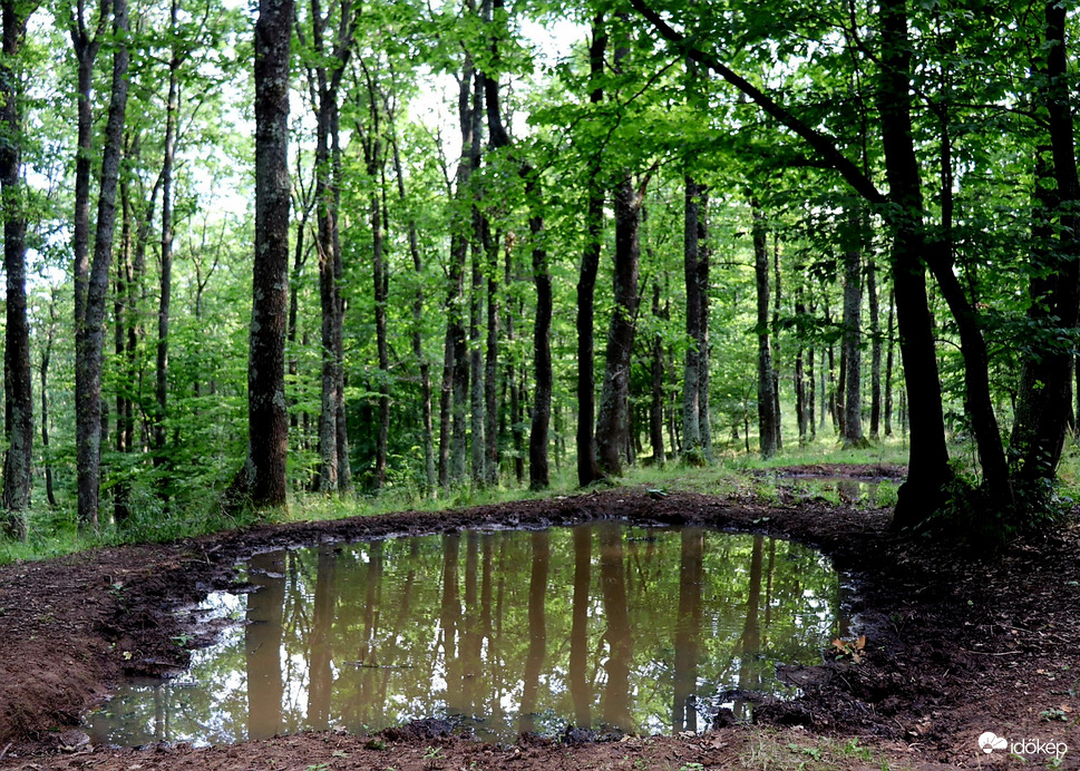 Székelykő