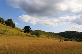 Székelykő