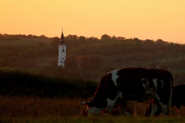 Őszies naplemente.