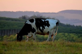Őszies naplemente.