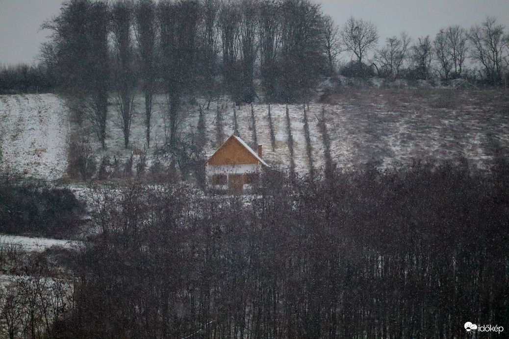 Závod