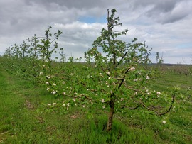 aron32 fotója