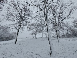 Dombokon a hó vastagsága 3-4cm