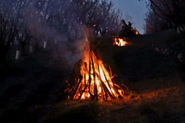 aron32 fotója