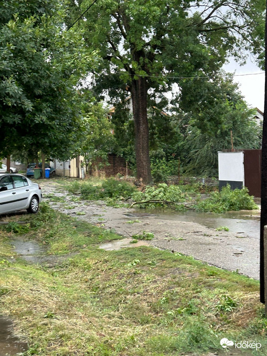 Hódmezővásárhely