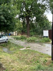 Hódmezővásárhely