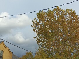 Budapest XIV.ker - Alsórákos