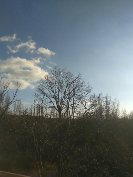 Balatonfűzfő