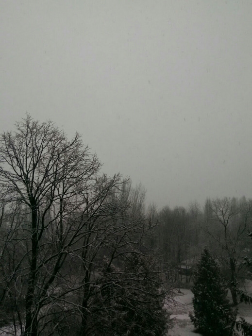 Balatonfűzfő