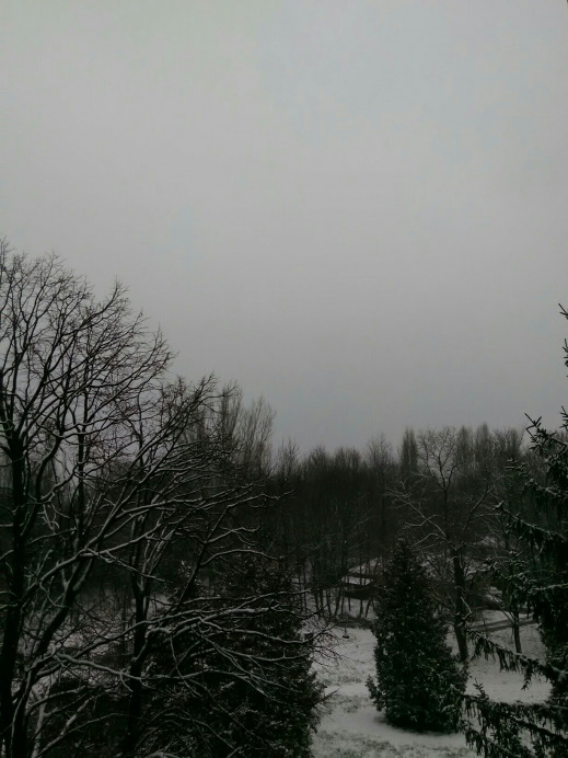 Balatonfűzfő