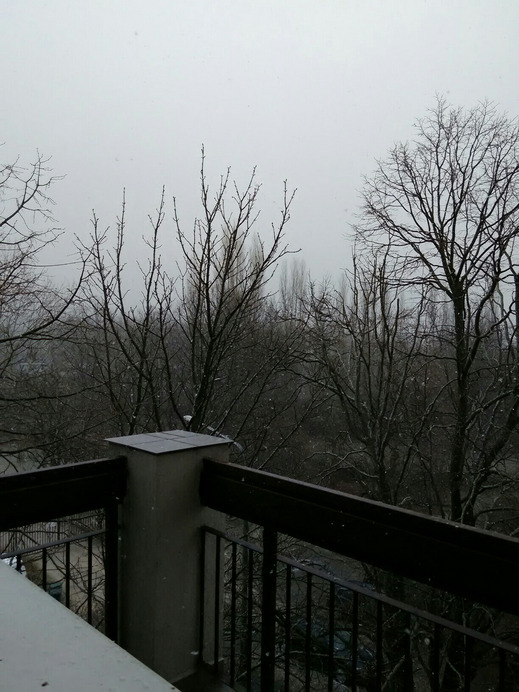 Balatonfűzfő